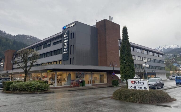 Revisoren til Arne Geirulvs settefisk-konsern har trukket seg