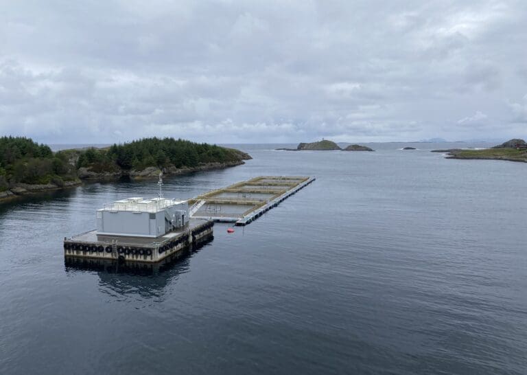 Vekst på 50 millioner hjalp ikke. Det ble ingen festavslutning for Landøy Fiskeoppdrett