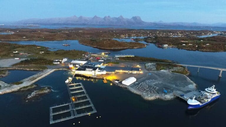 Mowi er i rute til å tjene 11,5 milliarder kroner i år – før skatt