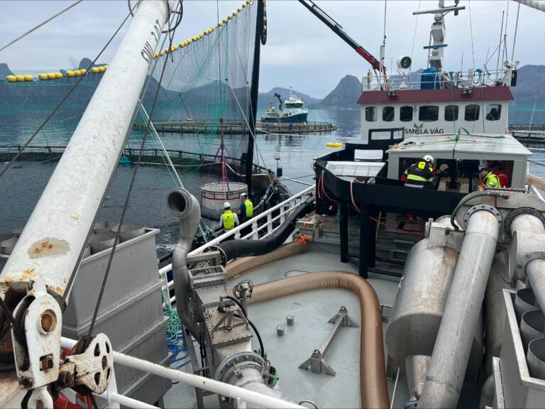 Svekket bunnlinje for Flakstadvåg Laks