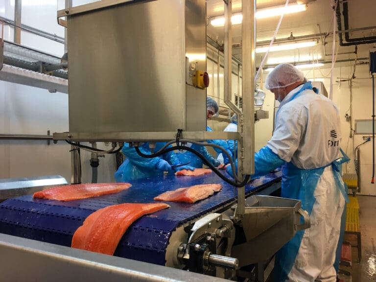 Sekkingstad med en halv milliard i omsetningsvekst