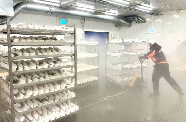 Produksjonsstans og ombygging bidro til lavere marginer for lakseslakteriet