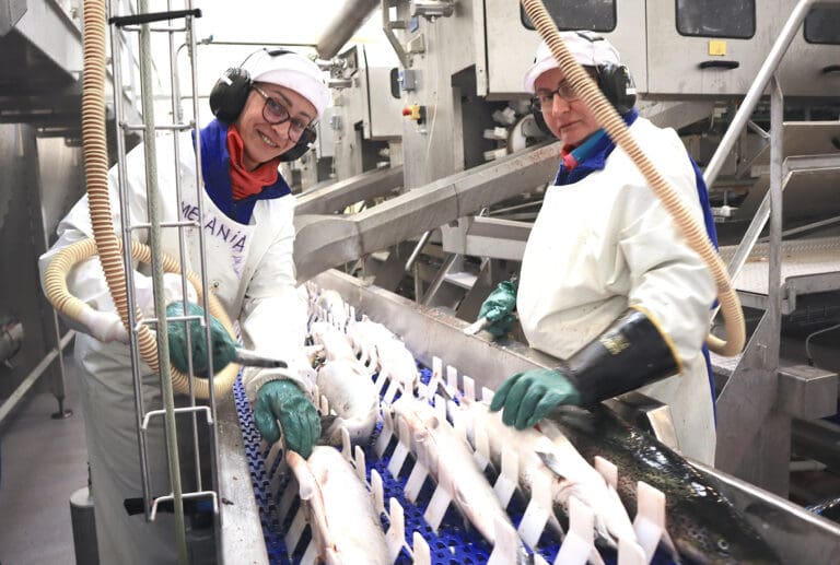 Få slaktedager sender påskelaksen til ny årsbeste. Prisen nærmer seg &laquo;all time high&raquo;