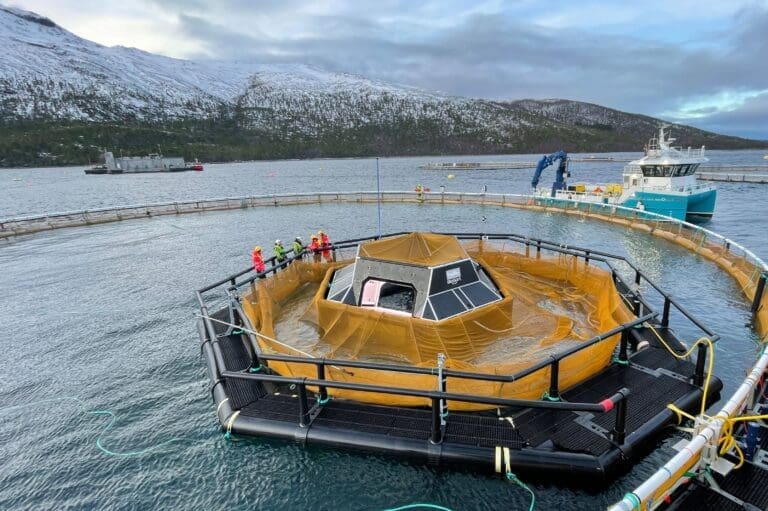 Slik bruker Cermaq kunstig intelligens for å lage fiskens helsejournal