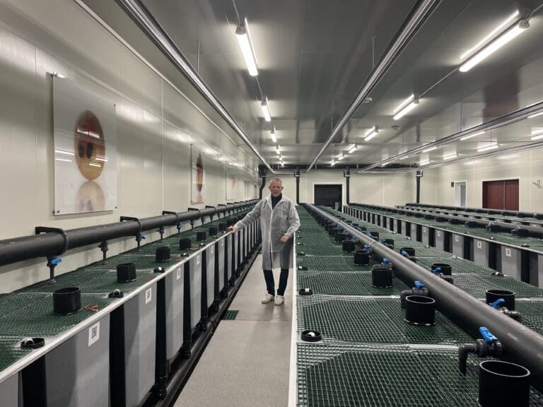 Stingray-kjøper sluker Benchmark Genetics for 3,6 milliarder kroner