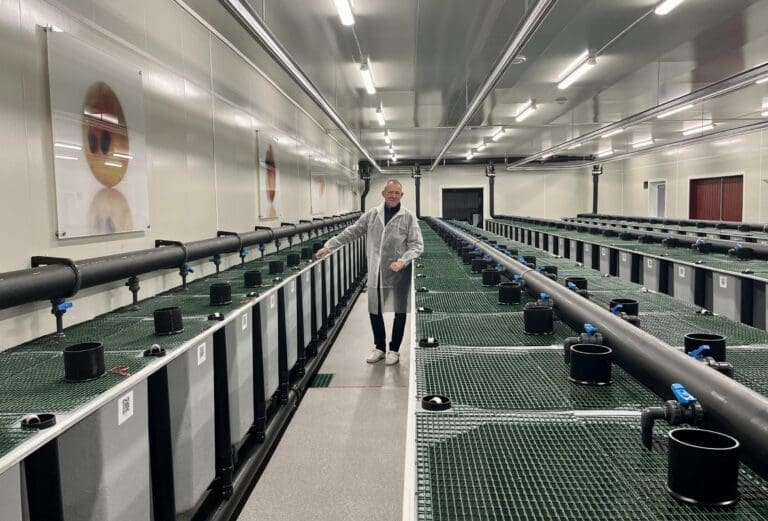 Inntektsfall i andre kvartal for Benchmark