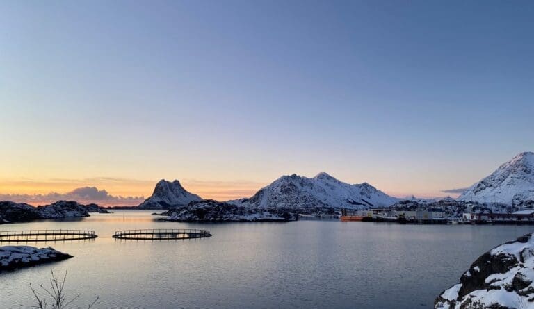 – Et slikt krav vil bli svært dyrt for Nordlandsoppdrettere