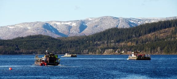 Norges største vannregion friskmeldt for lakseparasitt