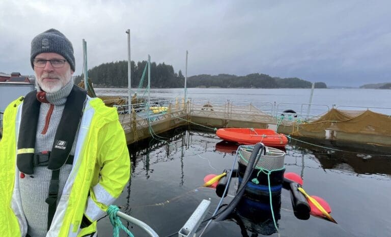 Tester overvintring for leppefisk: – Enormt potensial for bedre fiskevelferd og gjenbruk