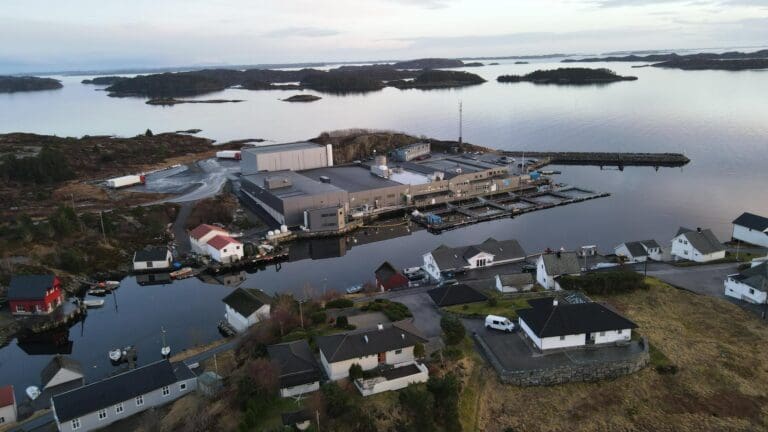 Firda Seafood Group: – Miljøfleksibilitet er bra, men vi trenger handling umiddelbart