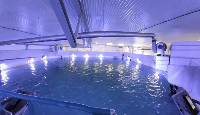 Byks i salgsinntekter og overskudd for Hjelvikfisk