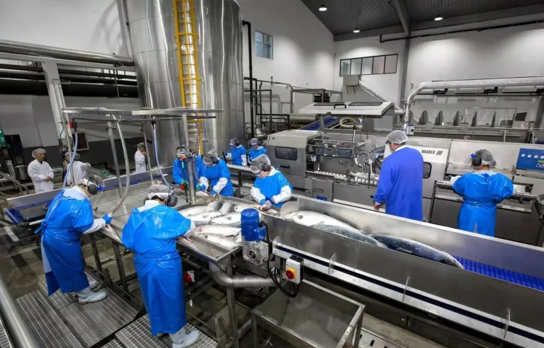 Nordic Aqua vil produsere laks på over seks kilo på land