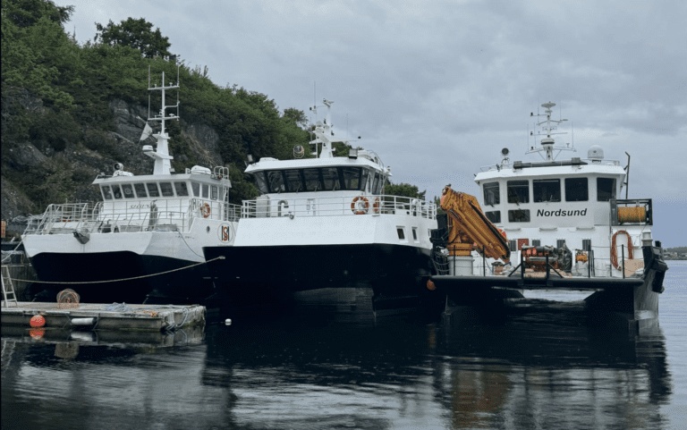 Sjåsund Marine bygger stein på stein