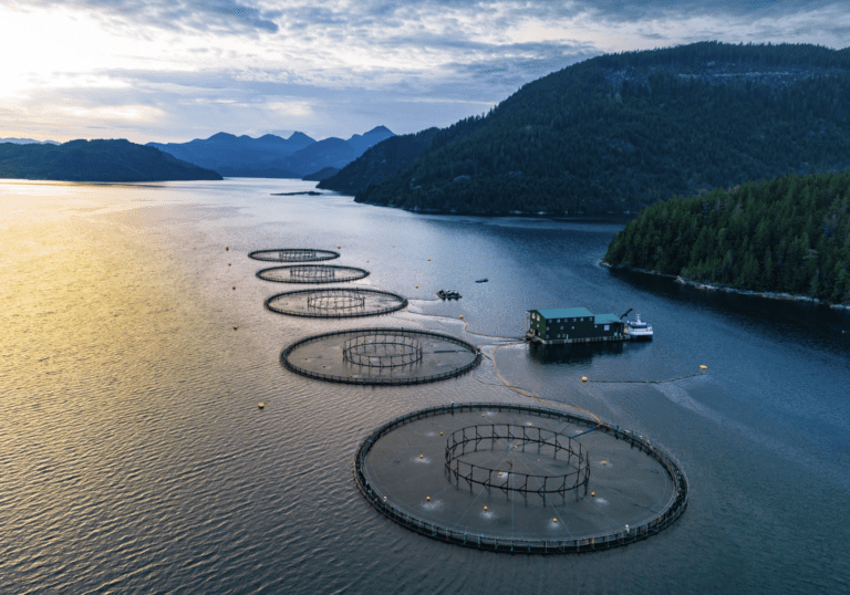 Grieg Seafood tar milliardnedskrivninger i Canada