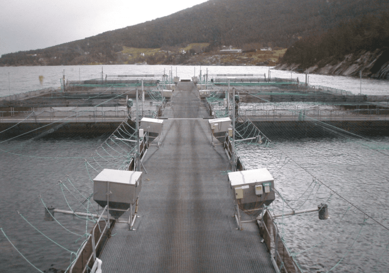 Mattilsynet har gått Erko Seafood nærmere etter i sømmene. Dette ble avdekket under granskningen