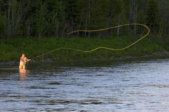 Ber publikum tipse om ulovlig laksefiske