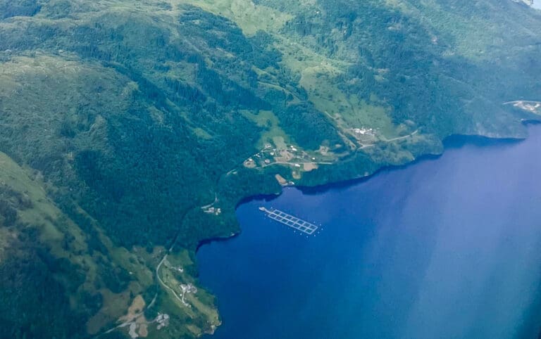 Miljødirektoratet: Fiskeoppdrett klart største kilde til utslipp i vestlandsfjordene