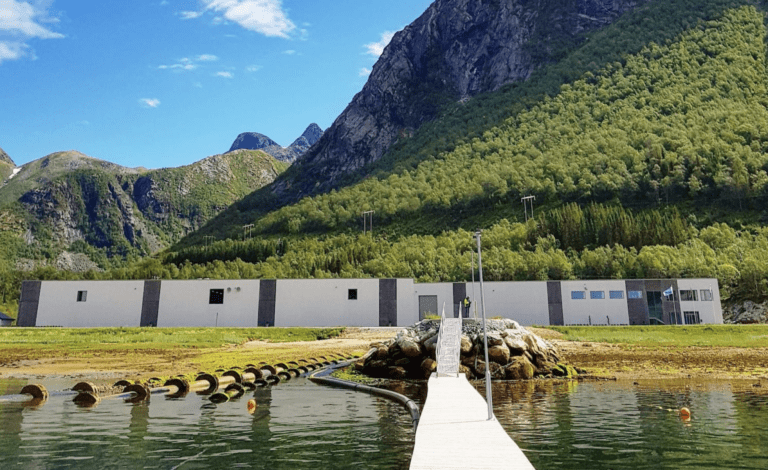 Fikk en halv milliard i kapitalpåfyll fra eierne. Helgeland Smolt kvitterte med kjemperesultat