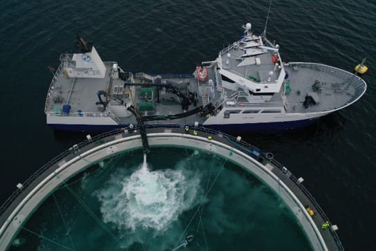 Aquafarm Equipment: – Vi har bra aktivitet utenfor Norge, og skal nok overleve uansett