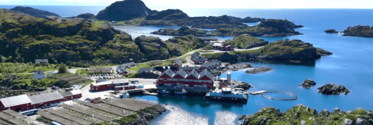 Alt utenom overskuddet økte for Lofoten Sjøprodukter