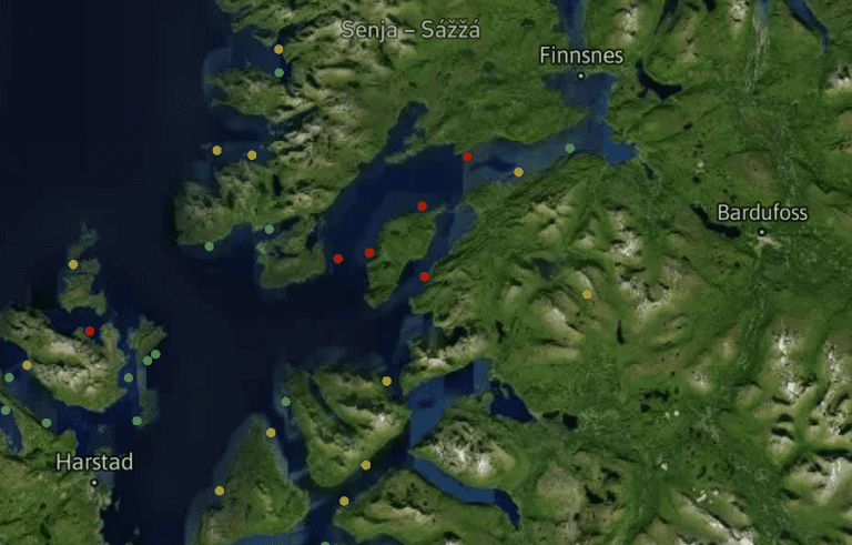 SalMar-lokalitet ved Senja hadde nesten seks voksne hunnlus per fisk