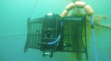 Remora Robotics henter 80 millioner kroner i frisk kapital. Blant investorene er Frøy Kapital og Grieg
