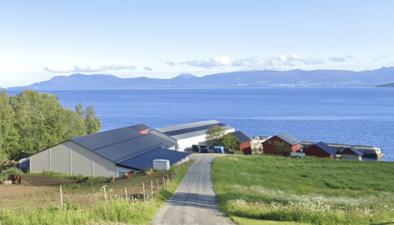 Produserte over en halv million fisk for mye i løpet av fire år
