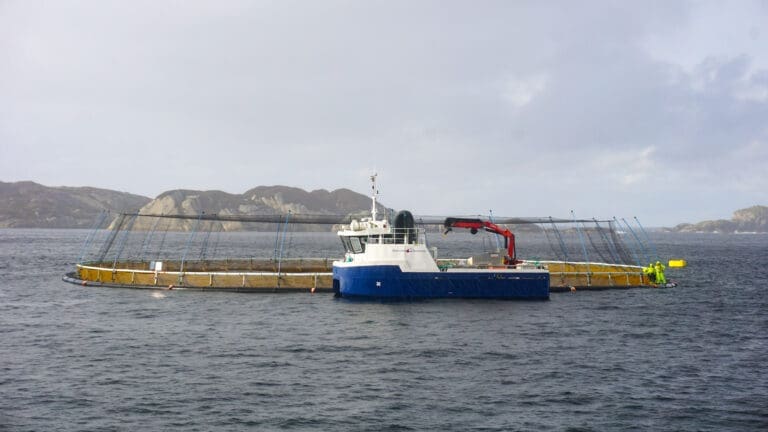 Bremnes Seashore etter Mattilsynets gransking: – Erkjenner at vi har et potensial