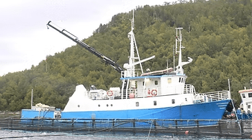 Dykke- og serviceselskap fra Helgeland er konkurs