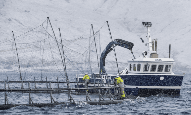 Lavere Q4-resultat enn forventet for Bakkafrost