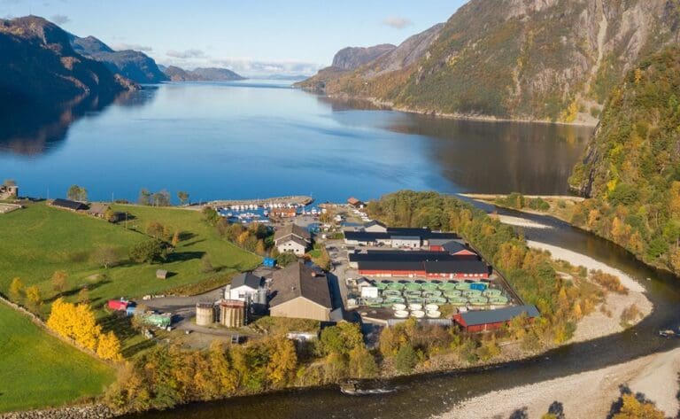 Høyesterett avviser anken – skjelloppdretter må ut med 8,7 millioner
