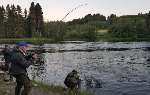 Miljødirektoratet foreslår tidenes strengeste laksefiske
