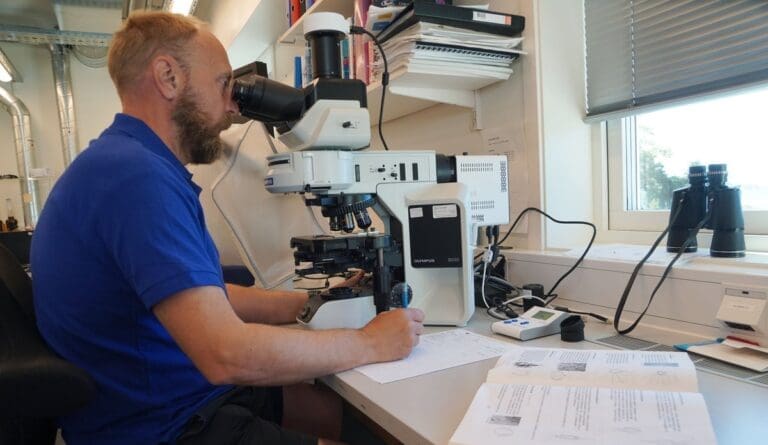 HI: – Algeoppblomstringene er trolig over
