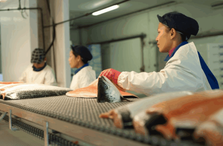 Resultatfall for Vågen Seafood