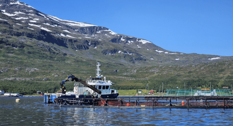 Perlesnormaneten gjorde det vanskelig for Arnøy Laks