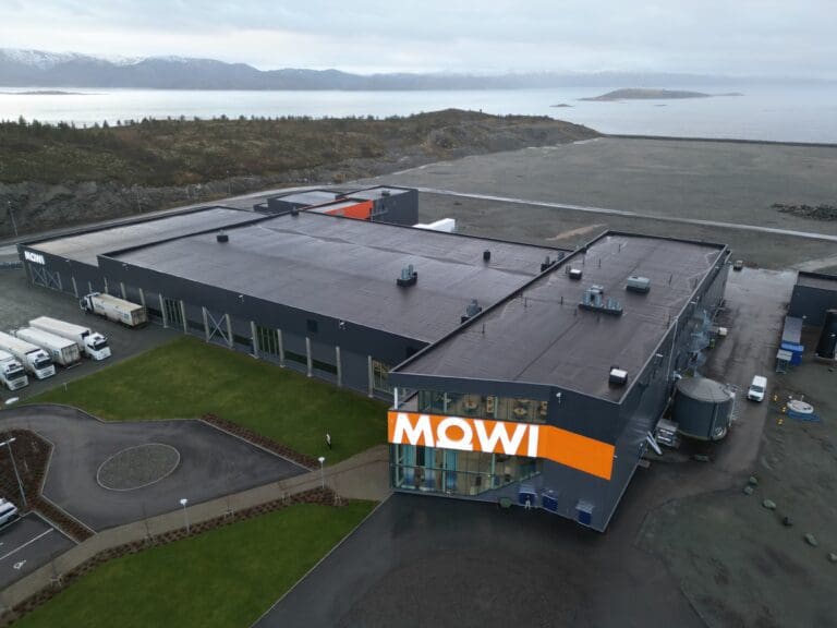 Venter Q4-driftsresultat på 2,7 milliarder kroner fra Mowi