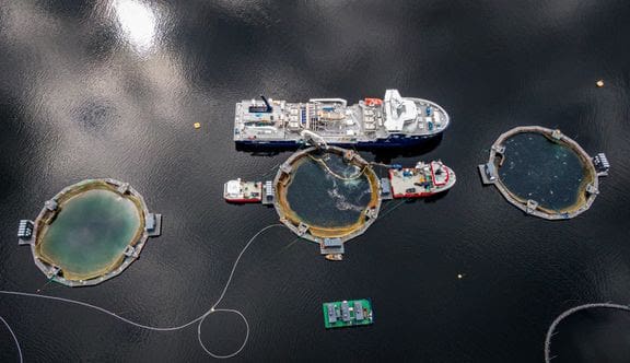 Strømmangel hemmer omstilling av havbruksflåten
