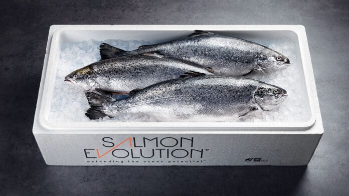 Salmon Evolution refinansierer – og henter 400 millioner kroner i ny egenkapital