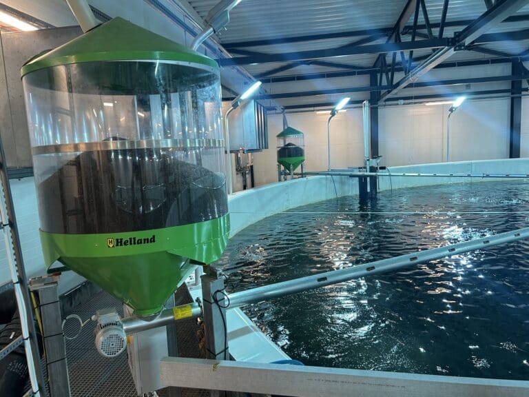Helland Silosystem holder farten oppe: – Vi er fornøyde