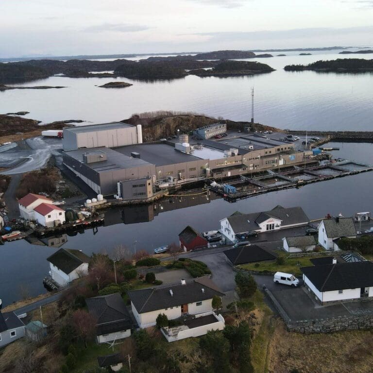 Biomassenedtrekk og inflaterte kostnader nær halverte Firda-resultatet